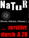 Folie4.GIF (11408 Byte)