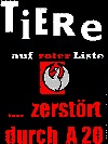 Folie5.GIF (10498 Byte)